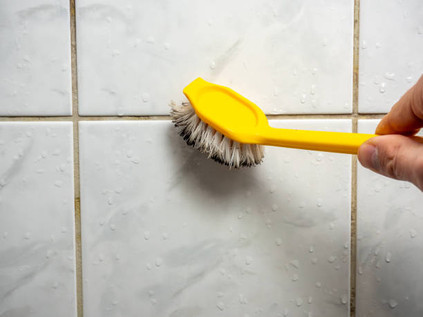Best Post-Flood Mold Remediation in Mondovi, WI