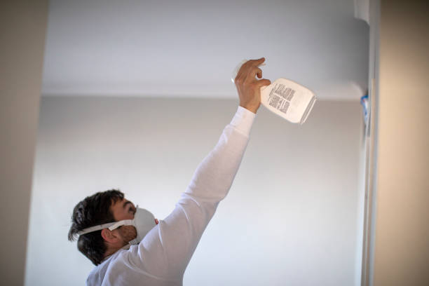 Best Health and Safety Mold Remediation in Mondovi, WI