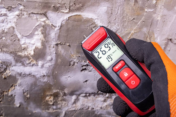 Best Post-Remediation Services in Mondovi, WI