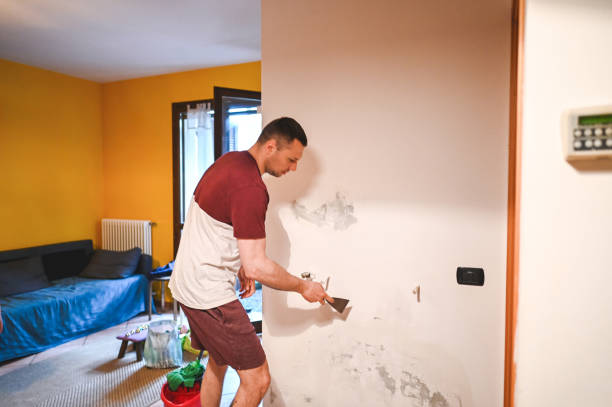 Best Attic Mold Remediation in Mondovi, WI